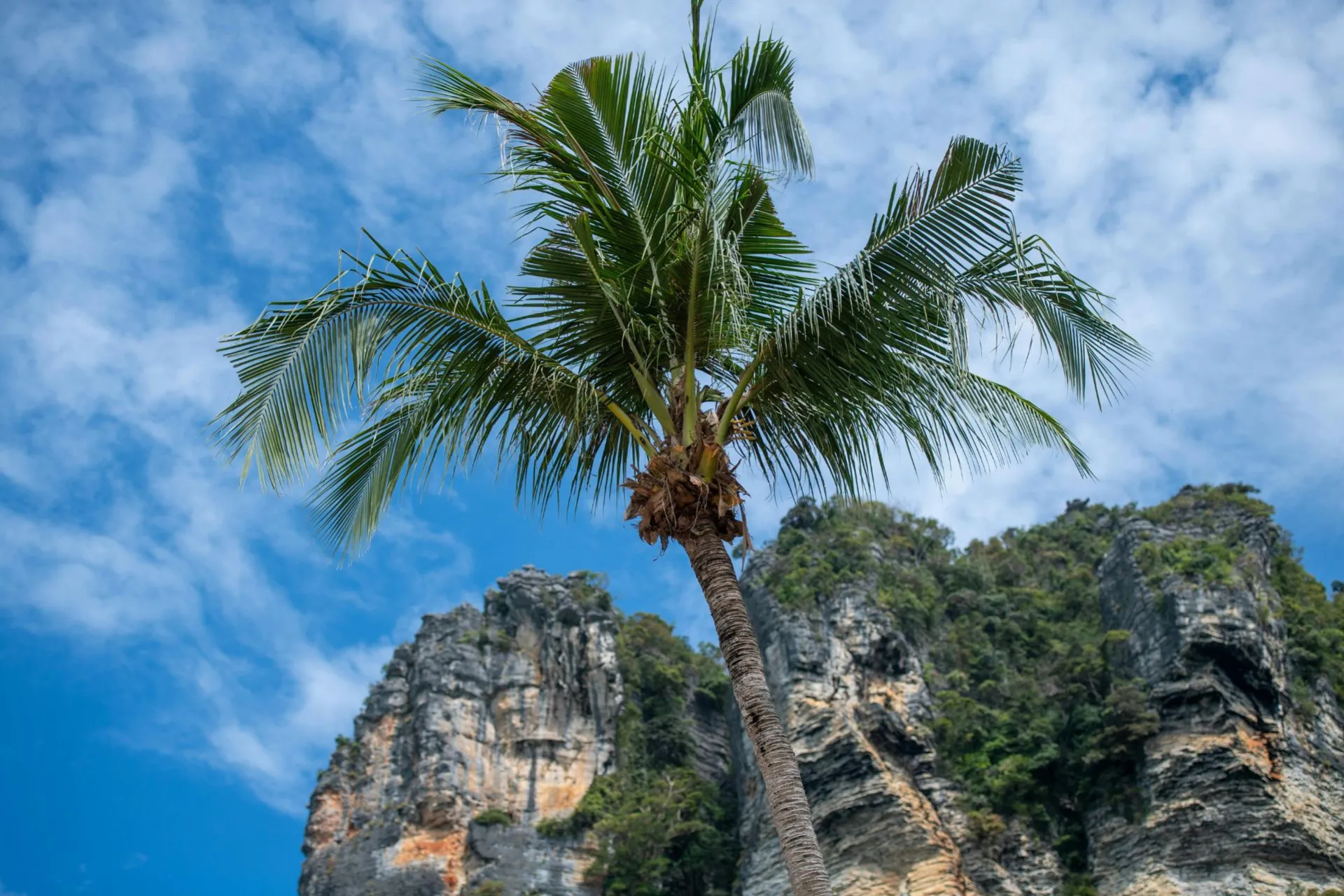 A halal tour in Krabi offers Muslim travelers a comfortable, convenient, and worry-free travel experience with halal food, prayer-friendly arrangements, and beautiful destinations.